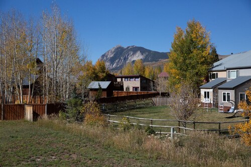 Fenced Backyard! Dog-friendly! Bus Shuttle!