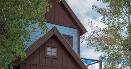 Fenced Backyard! Dog-friendly! Bus Shuttle!