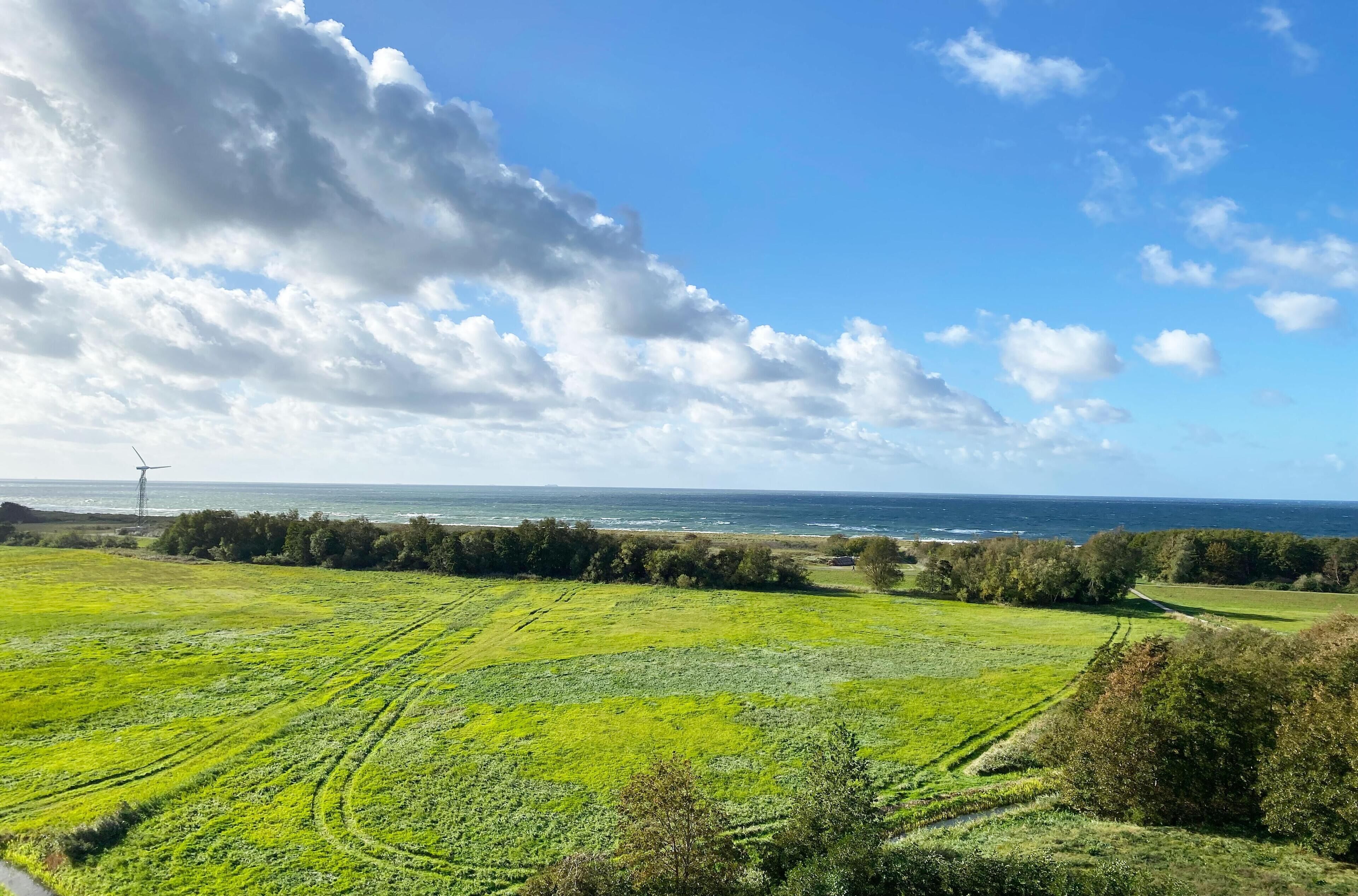 Un paysage côtier avec des champs verdoyants, une éolienne et l’océan en arrière-plan.