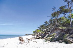 Nær stranden