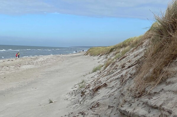 Una playa arenosa con dunas y el océano al fondo.