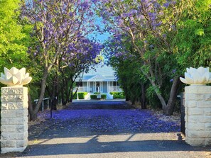 Front of property - Jubri's Hideaway (Dalby)