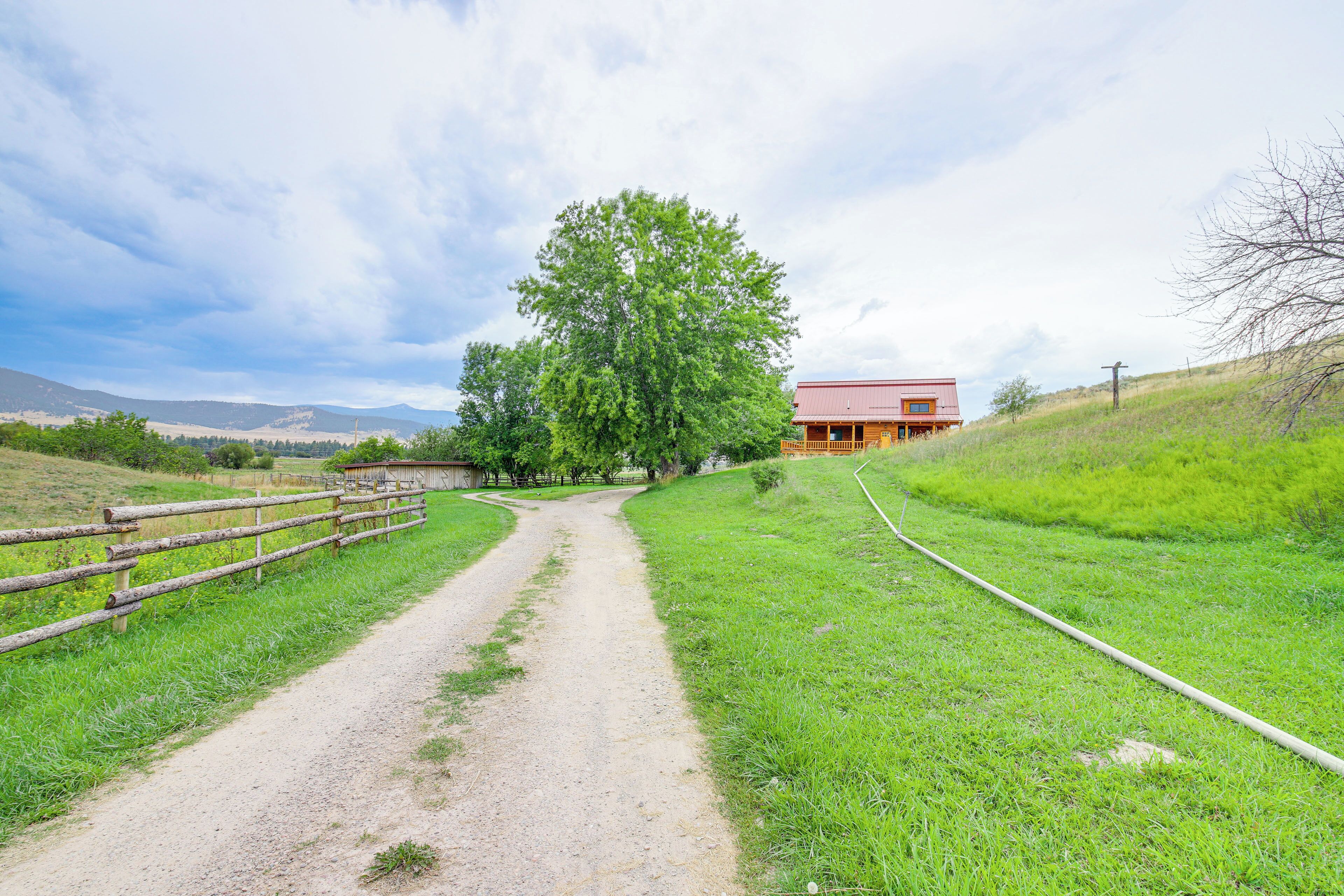 A rural road leading to a wooden cabin with a red roof, surrounded by green fields and a large tree.