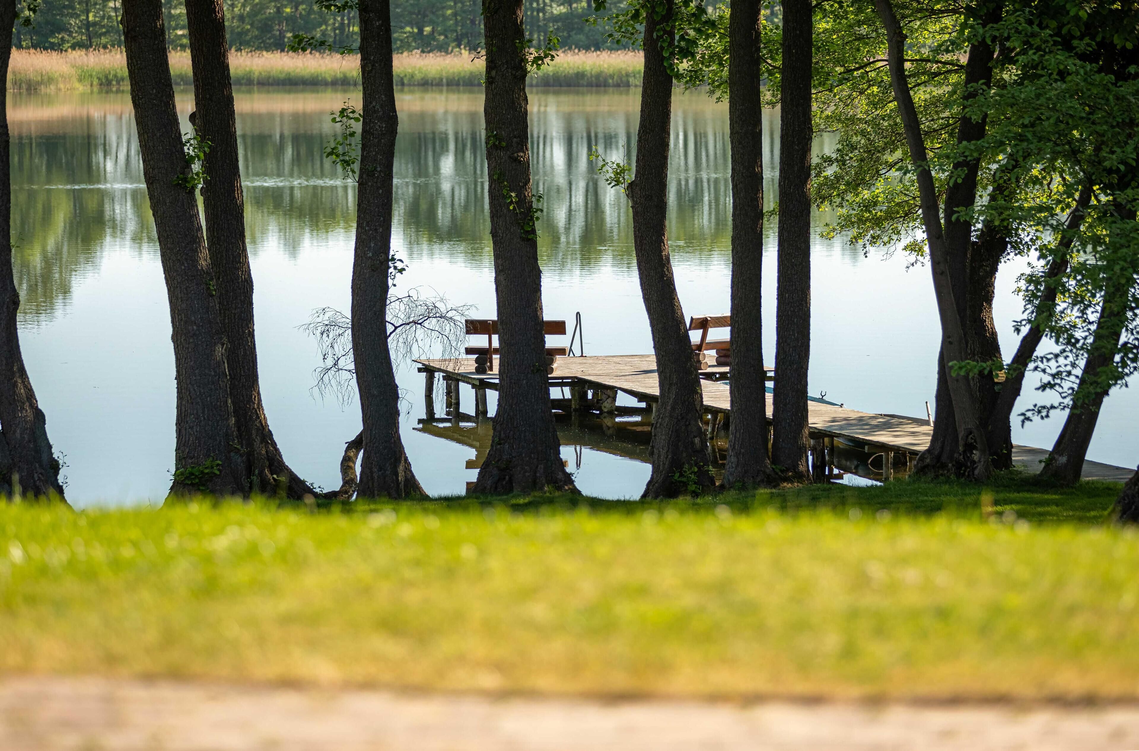 A wooden dock extending into a calm lake, surrounded by trees.
