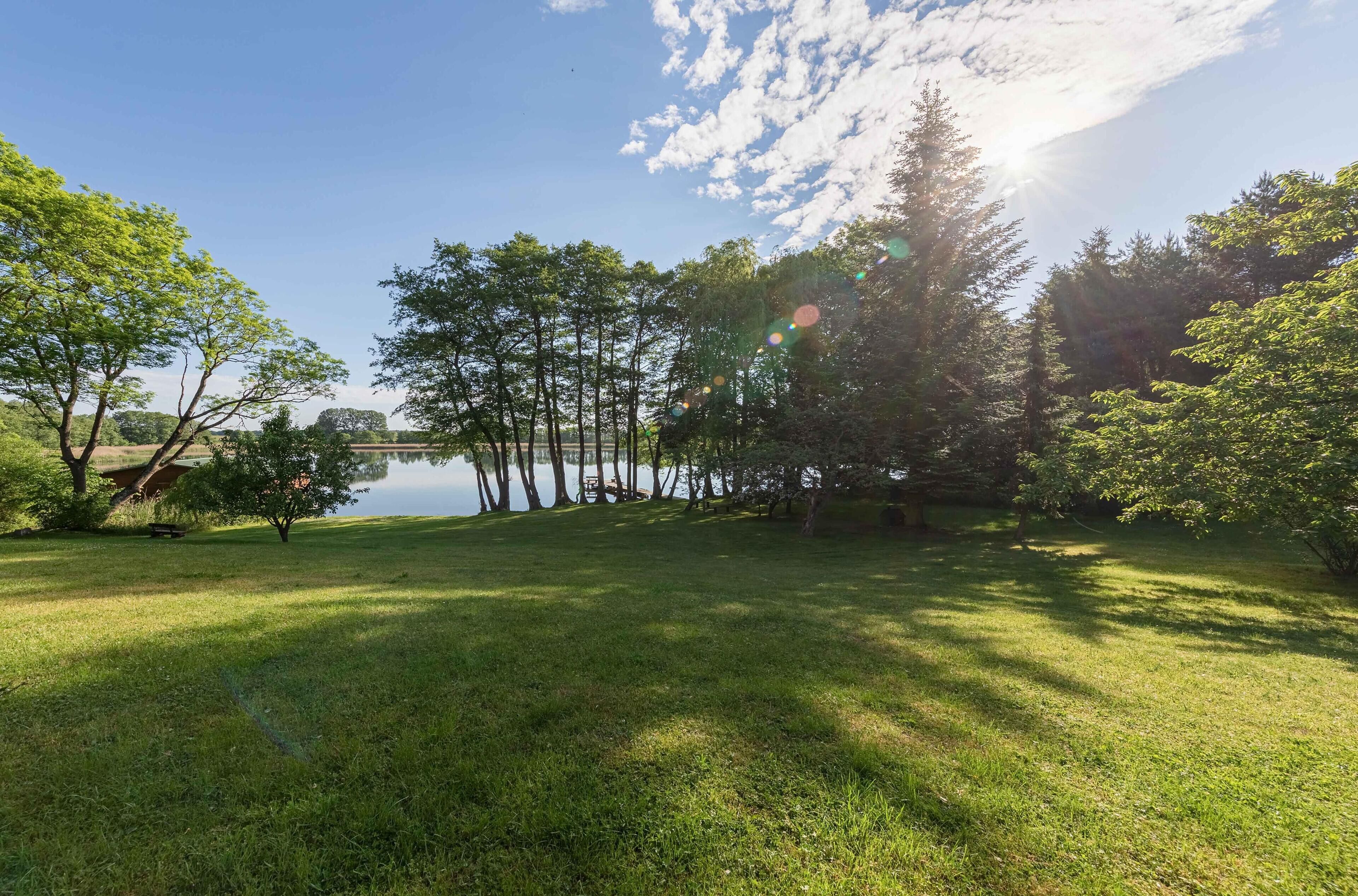 A grassy area with trees and a body of water in the background.