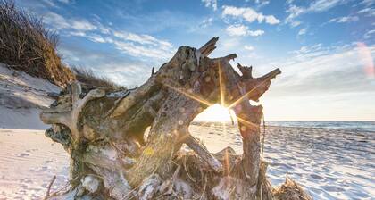 Vacation apartment "Meersinn" Your retreat between the Baltic Sea and the Bodden
