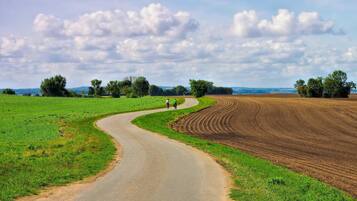 A rural road curving through fields with two people walking.