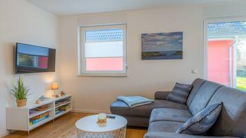 Fernseher, Stereoanlage