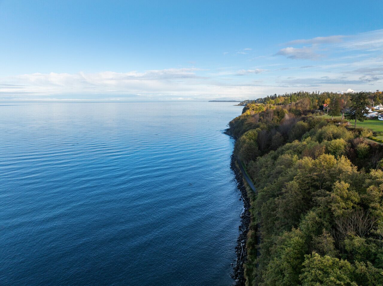 Eine Küstenlandschaft mit freiem Blick auf das Meer, einem bewaldeten Gebiet und einer fernen Küstenlinie mit Gebäuden.