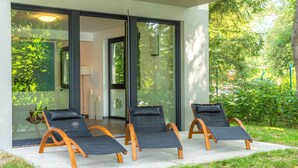 A modern outdoor seating area with three lounge chairs and a glass door leading to an interior space. - 5 star vacation apartment "Waldameise" with terrace in Krakower am See (Krakow am See)