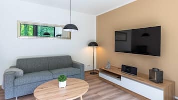 TV, fireplace, stereo