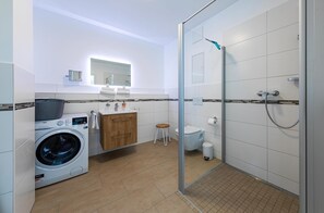 Shower, hair dryer, towels