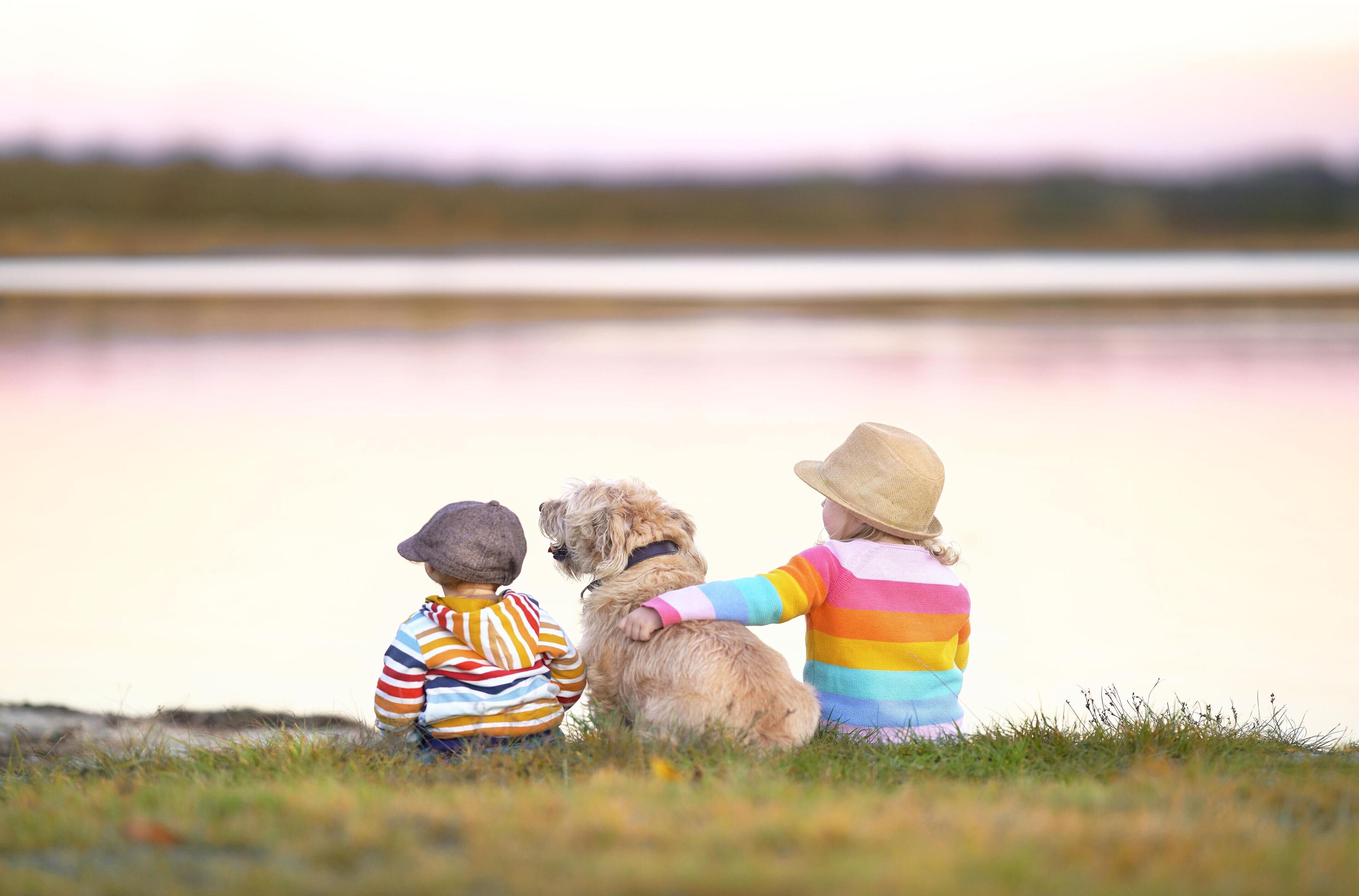 Drei Kinder sitzen auf der Wiese am See.