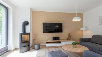 Télévision, cheminée, chaîne hi-fi