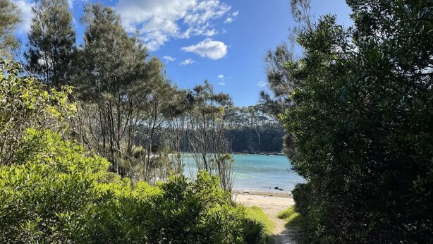 A pathway leading to a beach with clear turquoise water, surrounded by dense greenery and trees.