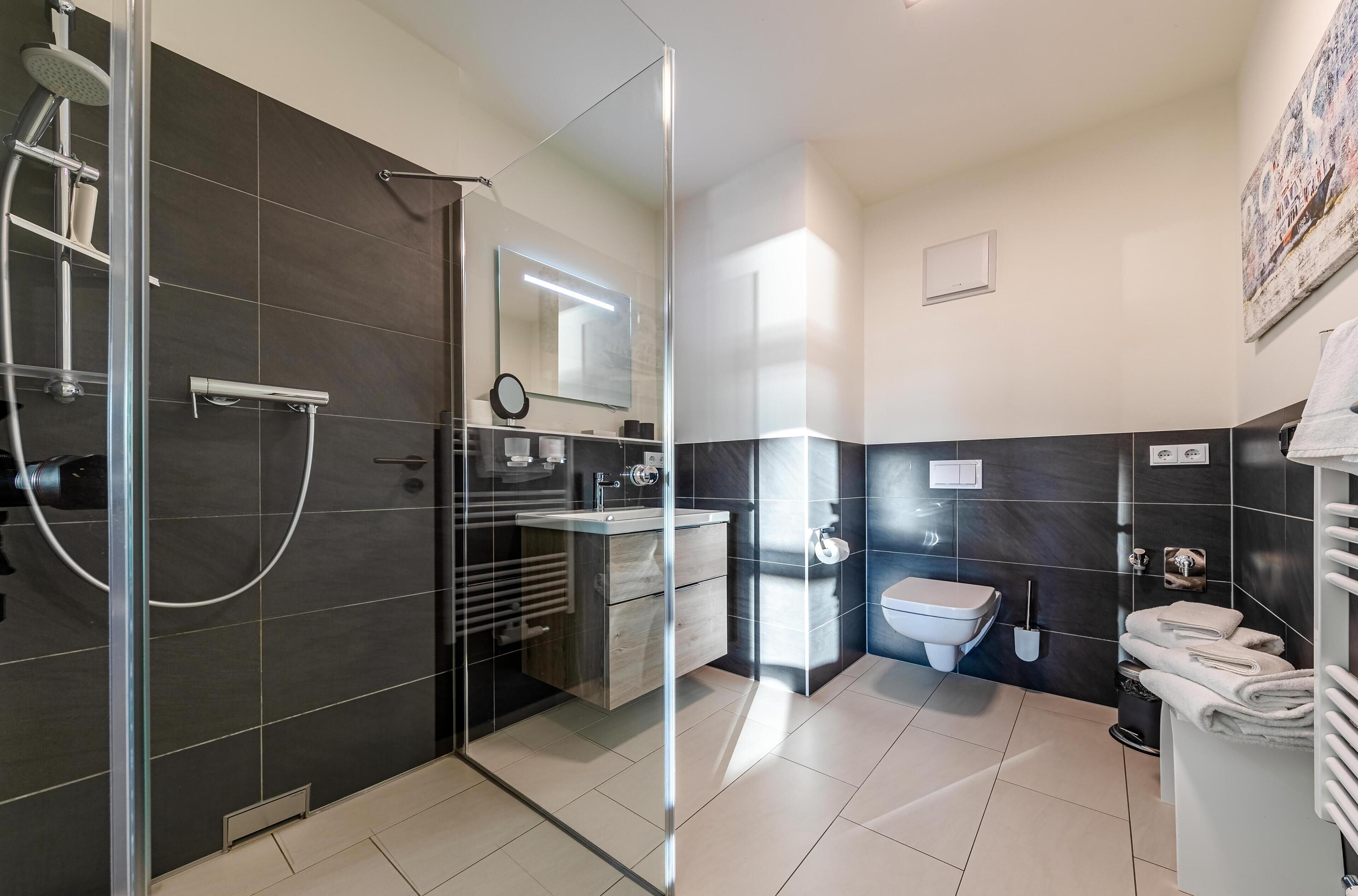 Shower, hair dryer, towels