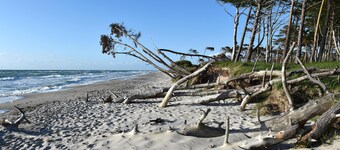 "Seestern" Vacation Apartment in the Baltic Sea resort town of Zingst
