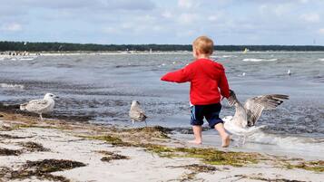 Eine Strandansicht mit einem Kind und Möwen.