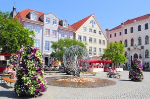 Miscellaneous - Vacation apartment feel-good oasis ***** in the harbor residence - with harbor view & sauna (Waren (Müritz))