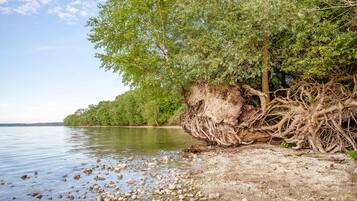 Un paysage naturel caractérisé par une côte rocheuse, des arbres et une étendue d’eau calme.