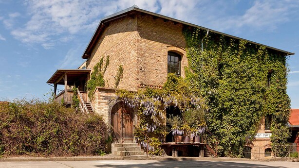 Un edificio histórico con fachada de piedra, una escalera de madera y un gran árbol con enredaderas colgantes.