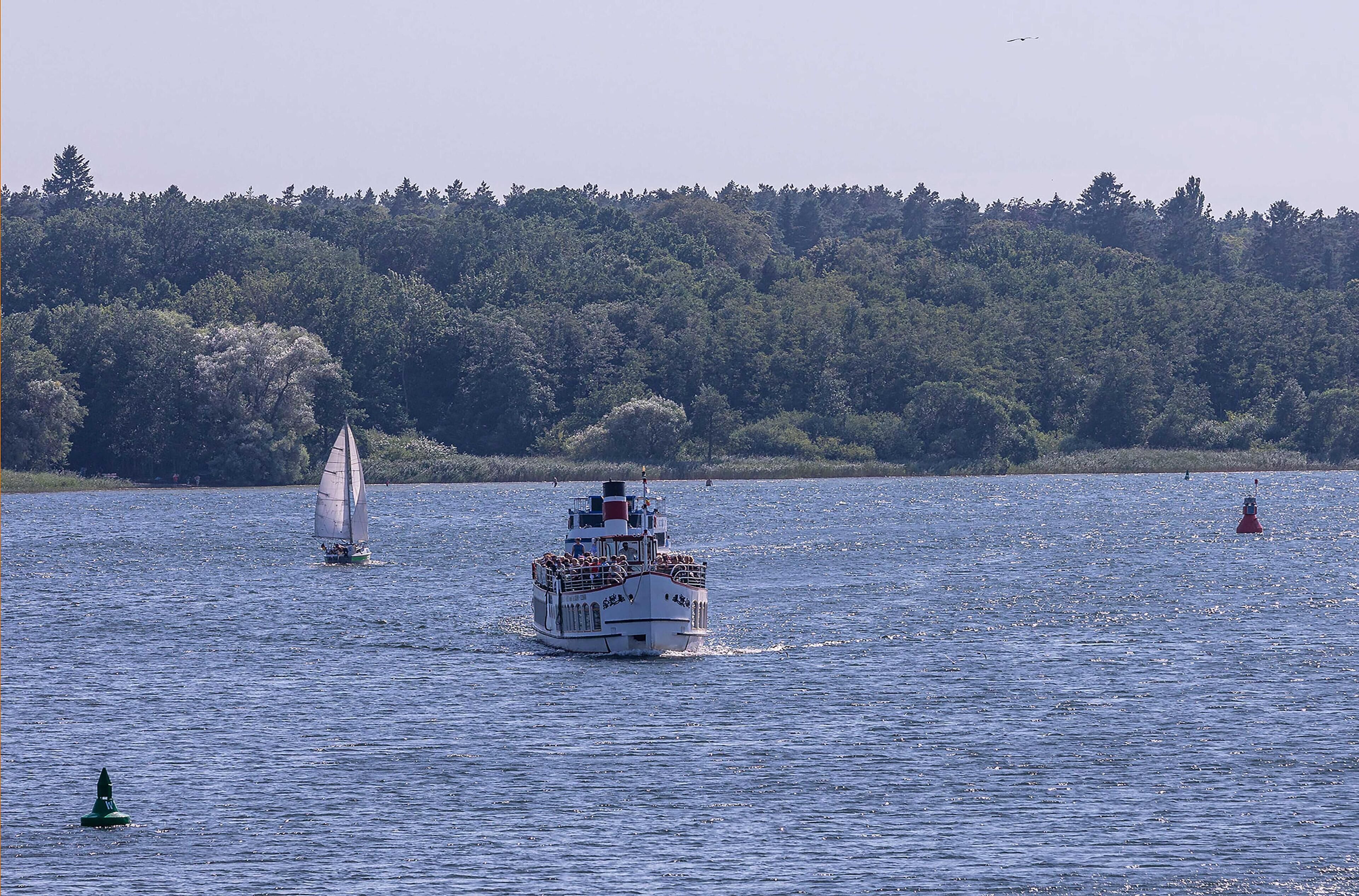 A ferry boat on a body of water with a forested shoreline in the background.