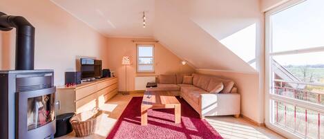 电视、壁炉、DVD 播放器、立体声音响