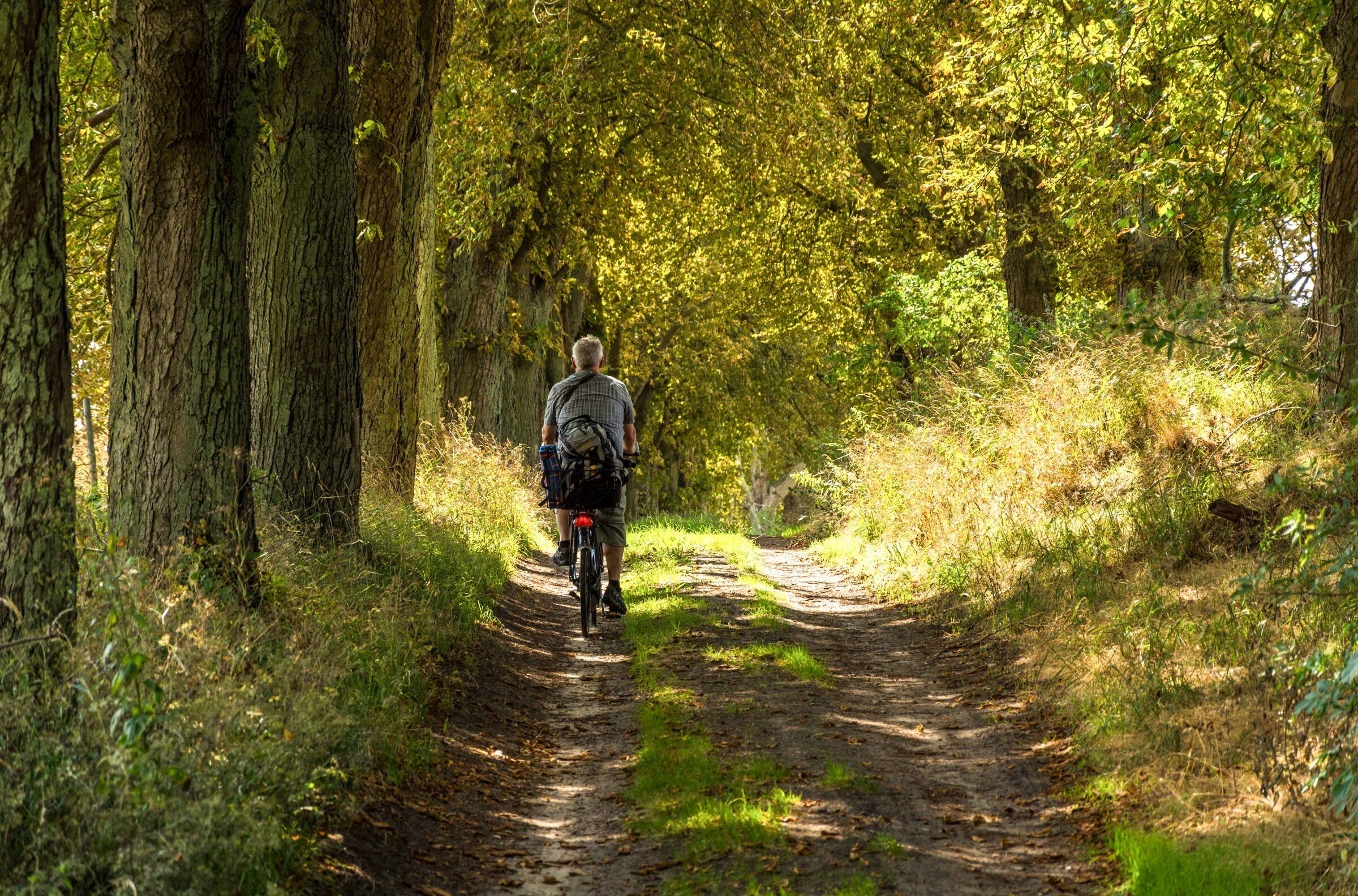 Eine Person fährt Fahrrad auf einem Waldweg.