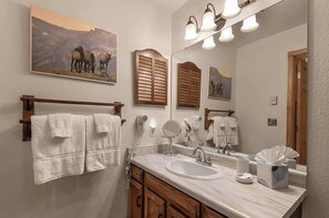 Shower, hair dryer, shampoo