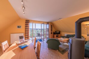 TV, fireplace, DVD player