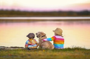 Aceita animais de estimação