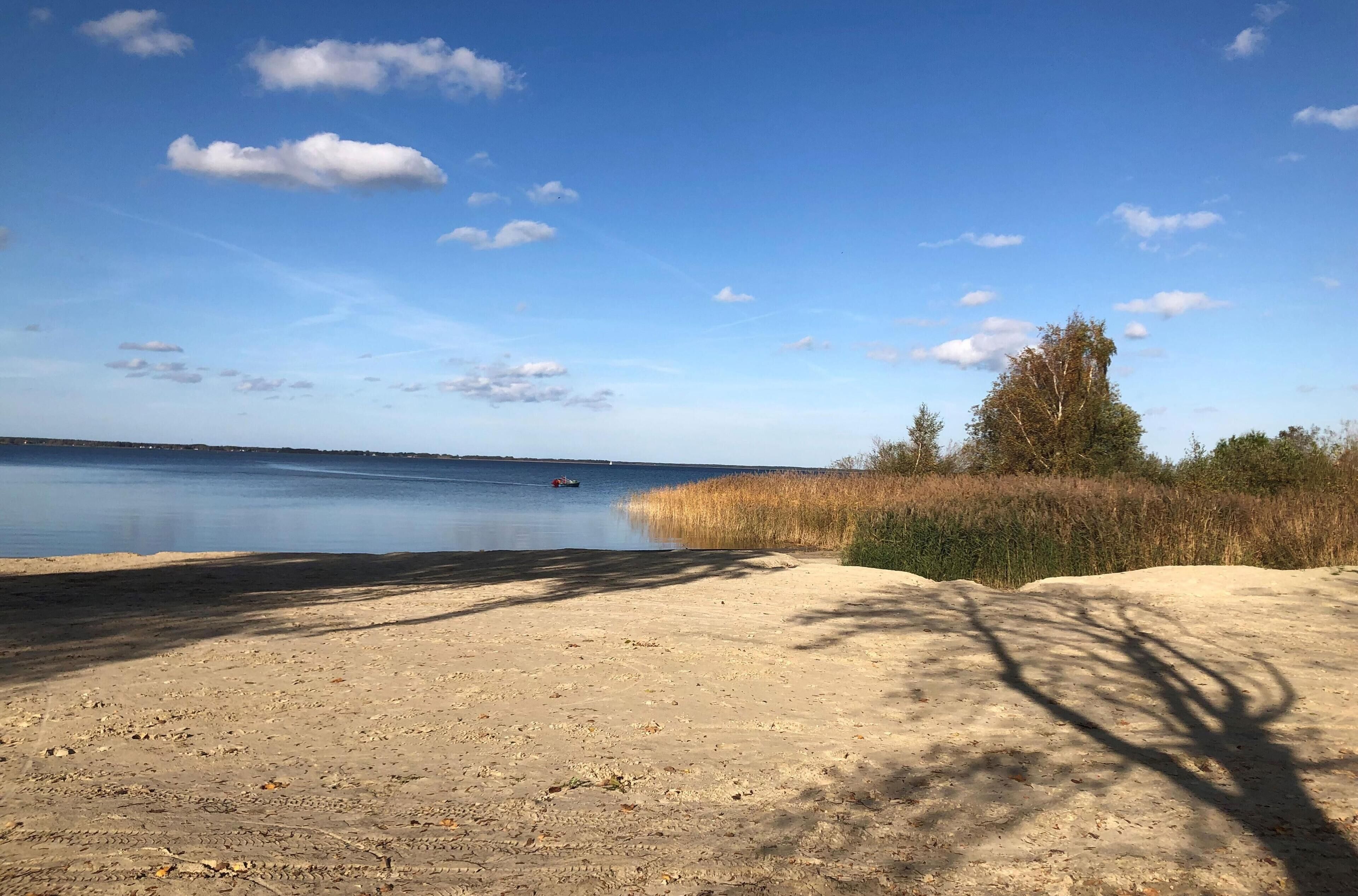 Ein sandiger Strand mit blauem Himmel und ruhigem Wasser.