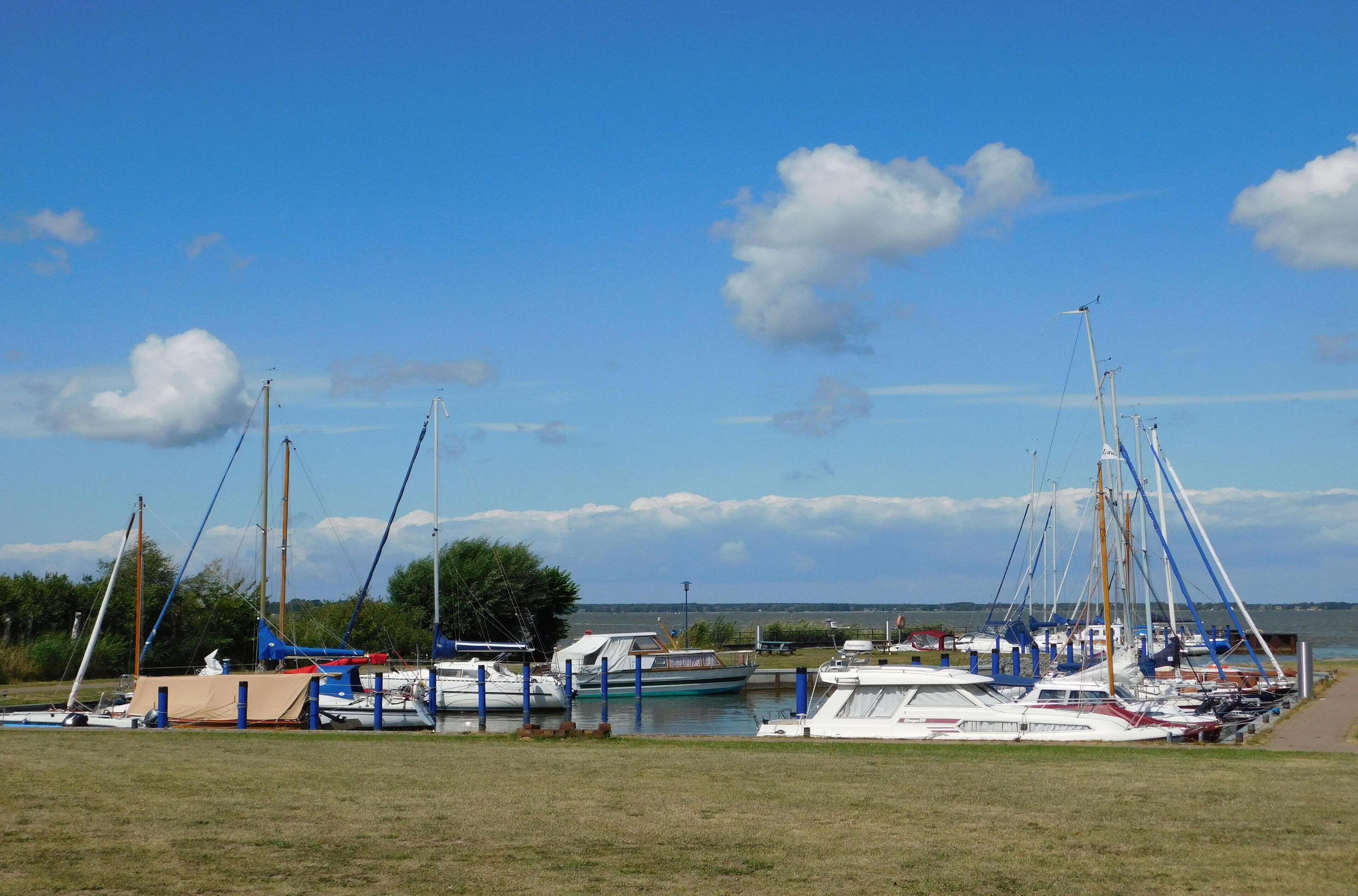 Una marina con diverse barche a vela ormeggiate, un prato in primo piano e un cielo azzurro con nuvole.
