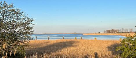 A coastal landscape with a clear sky, a body of water, and a grassy area with trees.