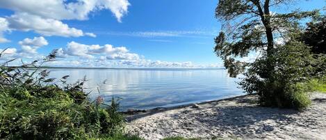 Una spiaggia nelle vicinanze