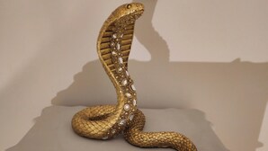 Une commode blanche ornée d’une statuette de serpent décoratif sur le dessus.