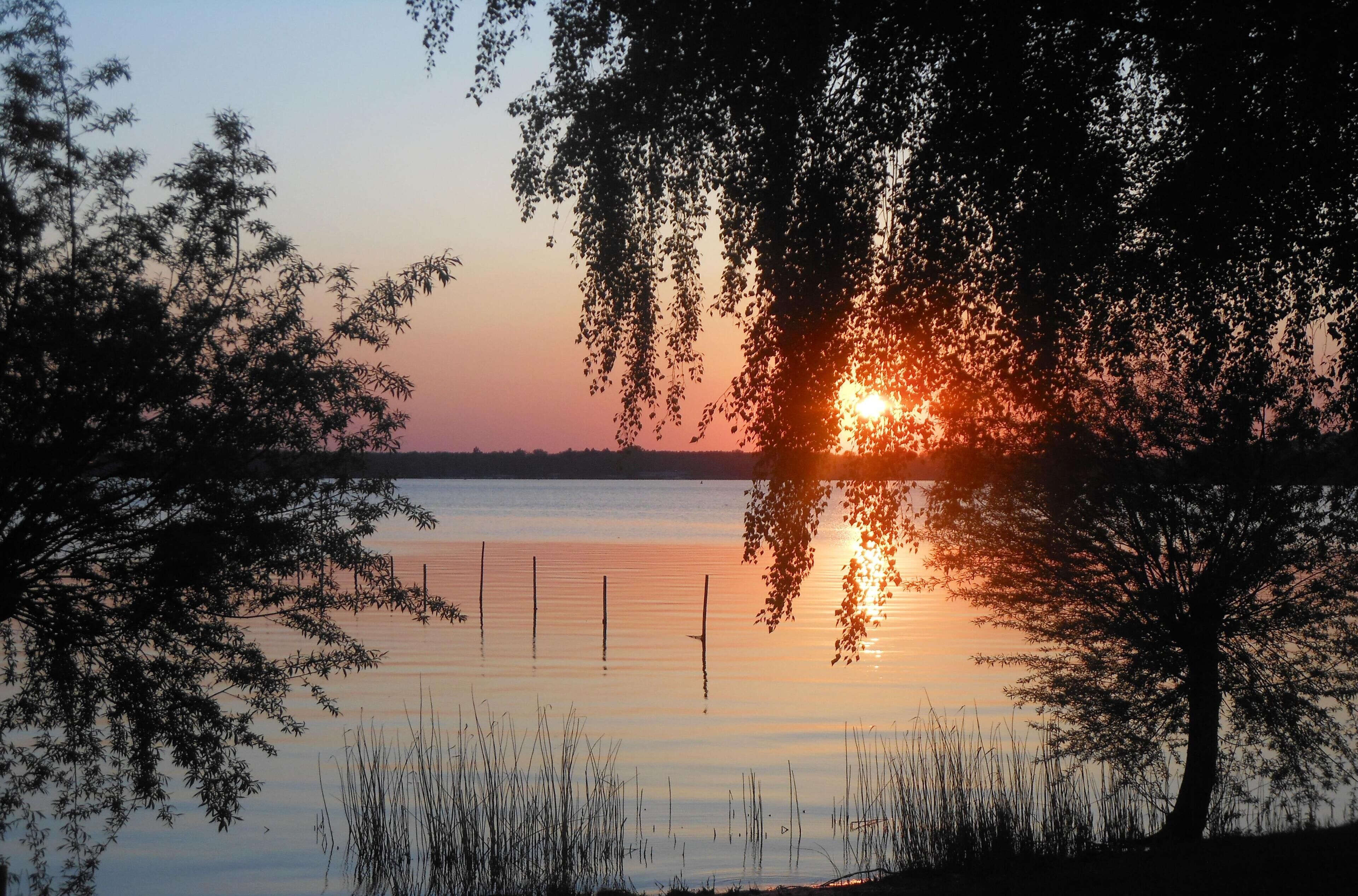 Ruhiger See mit Bäumen und einem Zaun im Vordergrund.