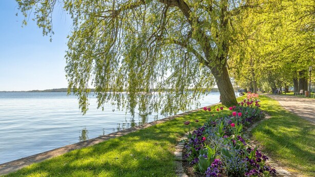 Ein Park am Seeufer mit einem Spazierweg, Bäumen und Blumenbeeten.