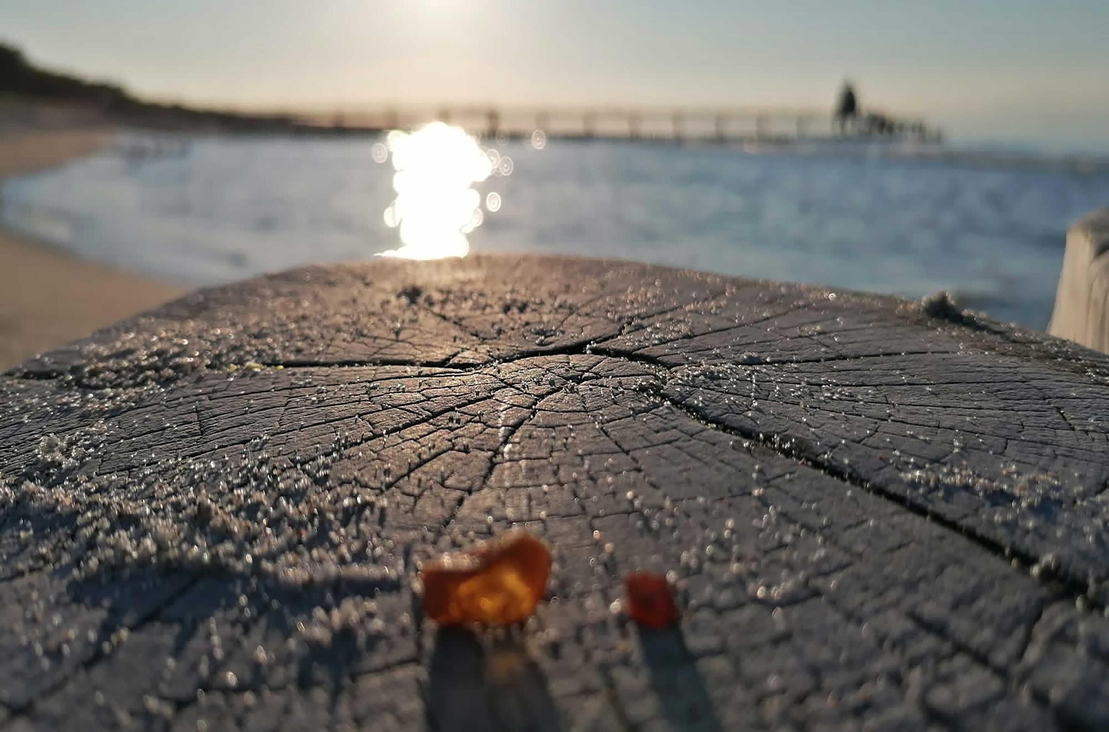 A close-up of a cracked wooden surface with water droplets, likely a dock or pier, with a blurred background of water and a distant structure.
