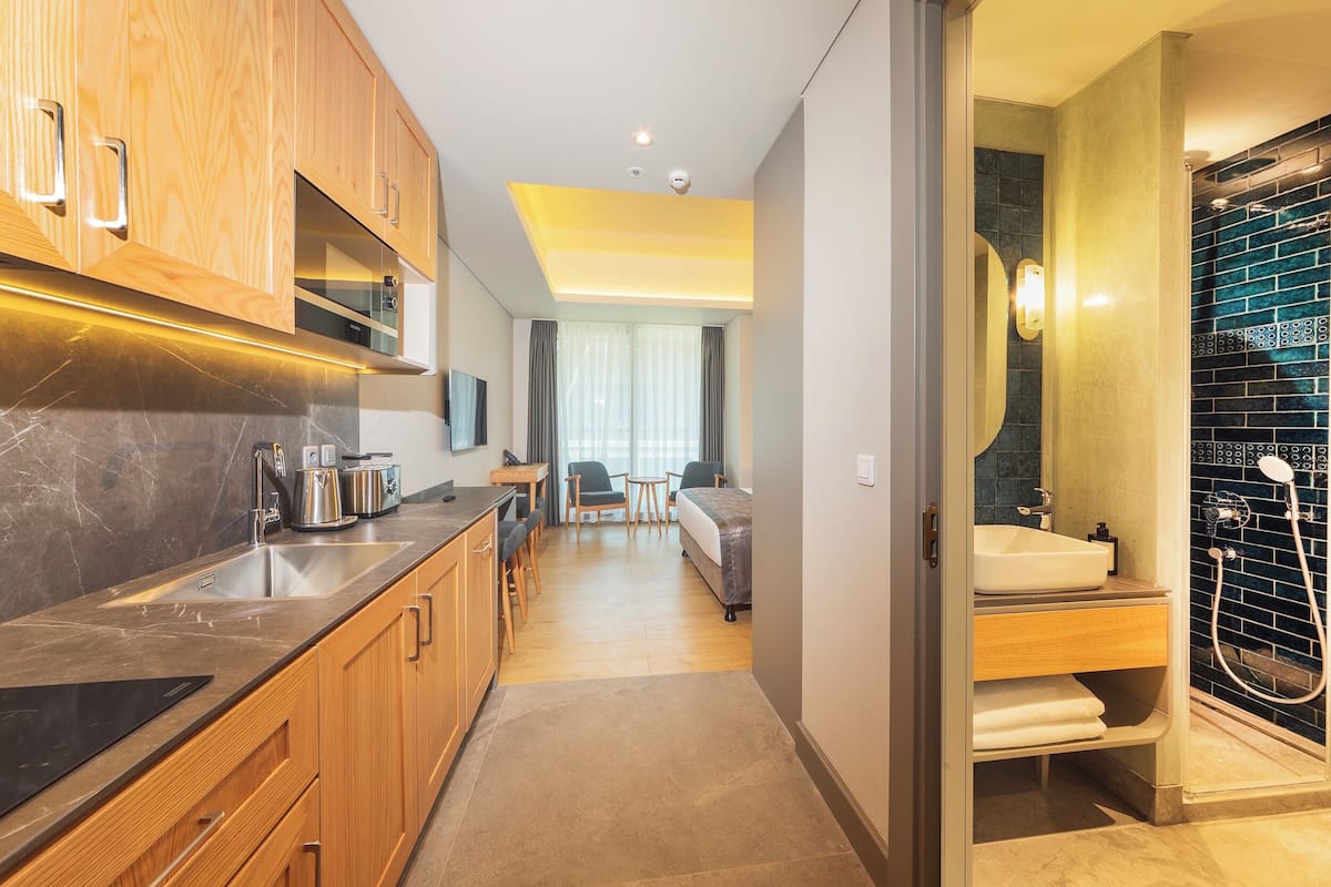 Mini-fridge, microwave, stovetop, dishwasher