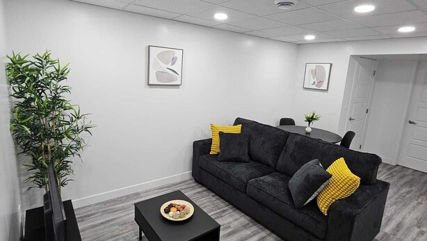 A modern living room with a dark grey sofa, a black coffee table, and a large plant.