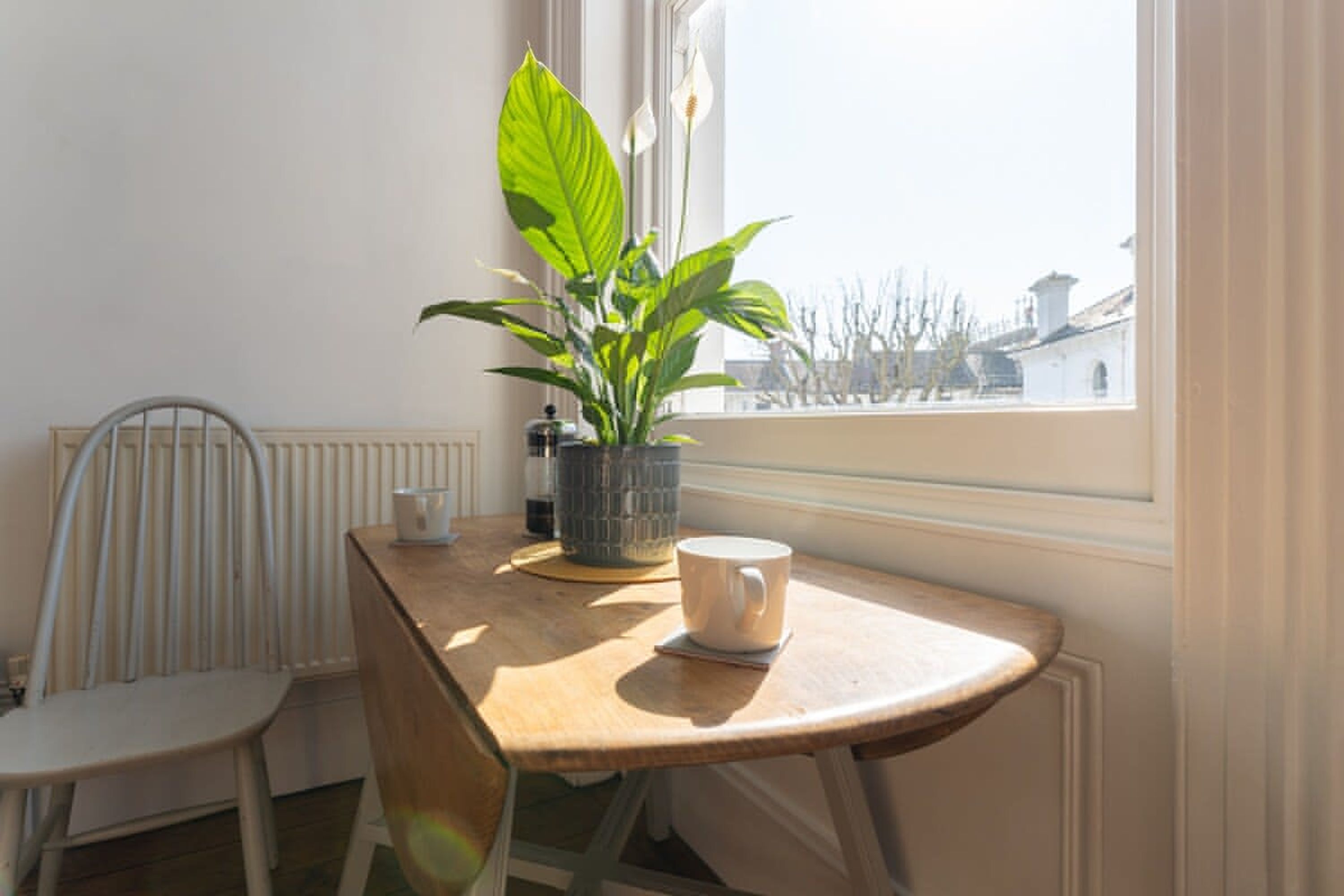 A small wooden table with a white mug and a potted plant, a white chair, and a radiator in a room with a window.