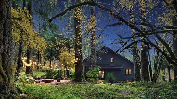 Een chalet omringd door bos, met lichtjes.