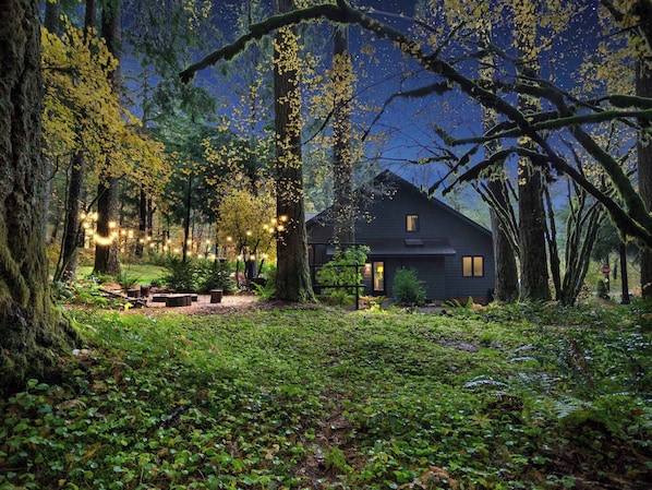 A cabin surrounded by forest with string lights.
