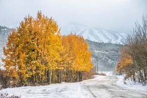 A snow-covered road flanked by autumn-colored trees and a mountain range in the background.