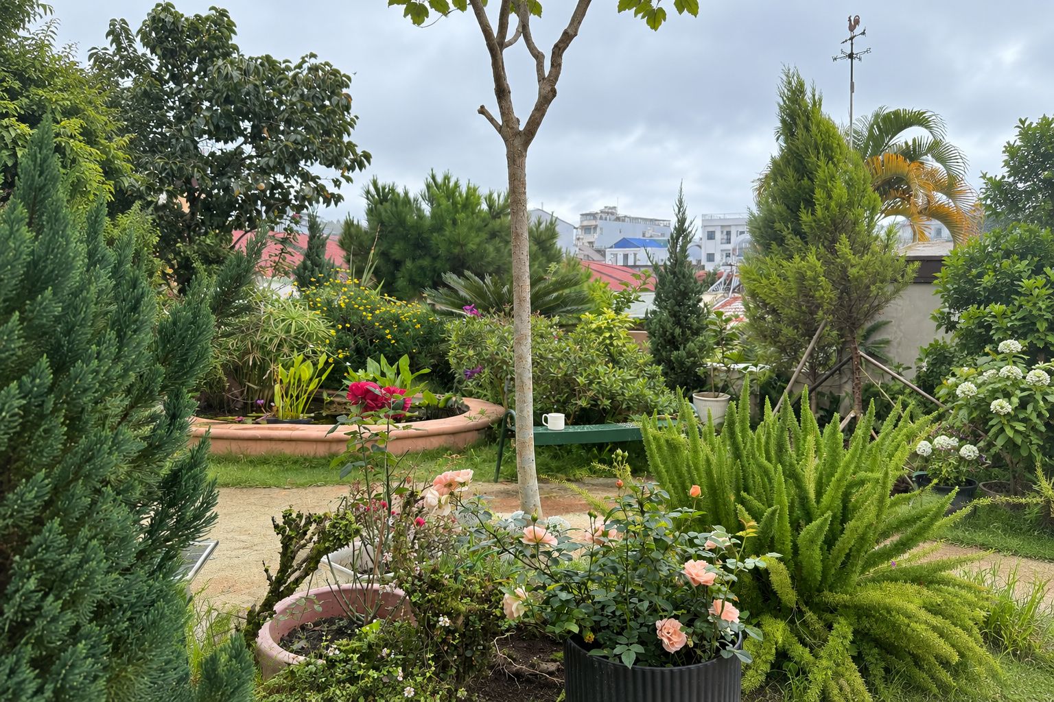 A garden with various plants and flowers, a bench, and a weather vane.