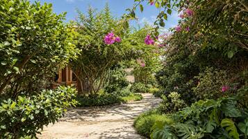 Un sendero en un jardín con abundante vegetación y plantas florecientes.