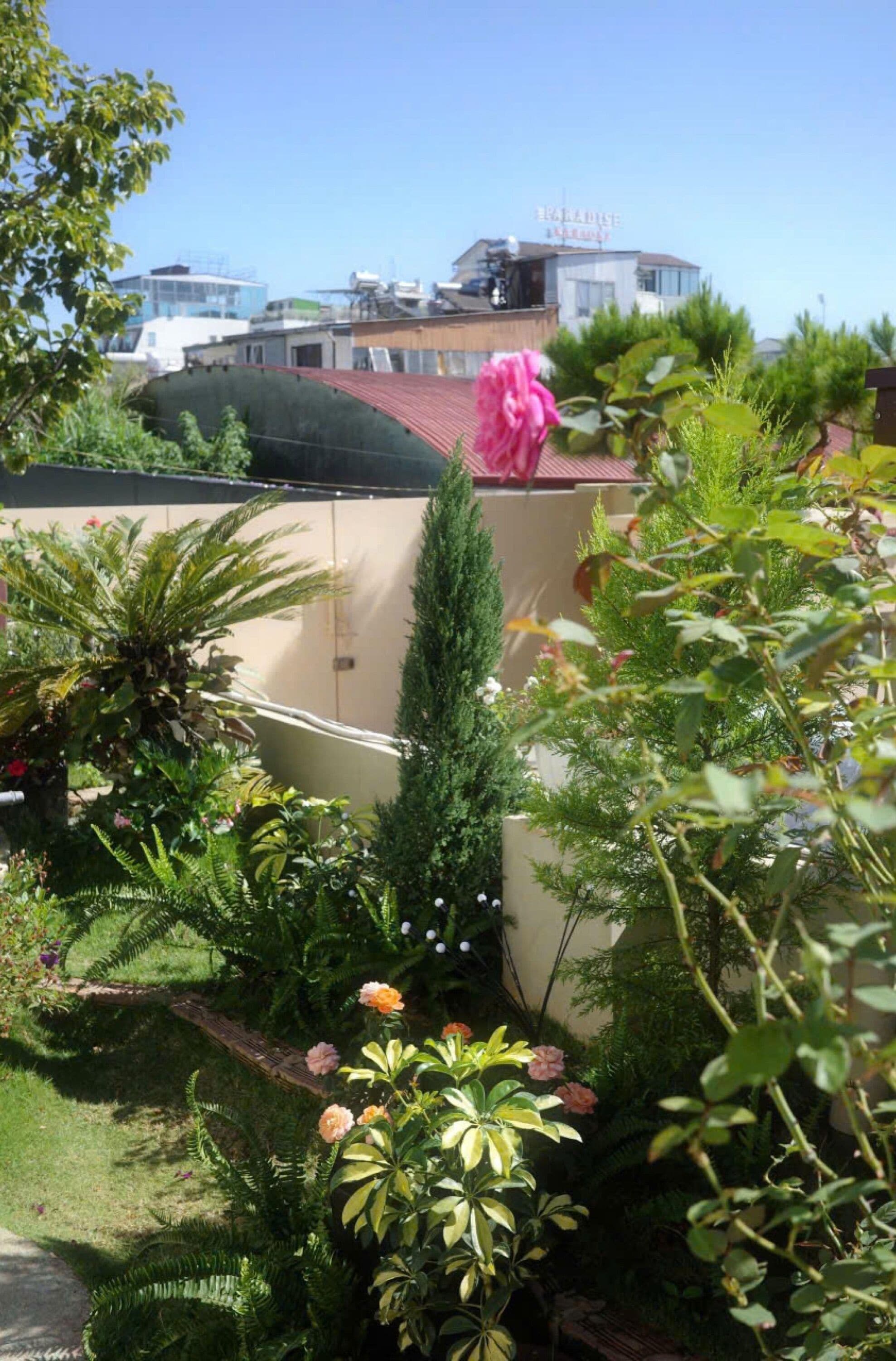 Um jardim com diversas plantas e um edifício ao fundo.