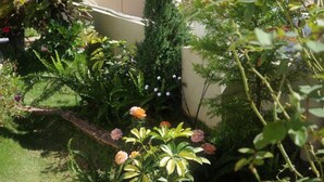 A garden with various plants and a building in the background. - Le Macaron Garden Stay - Boutique Hotel Da Lat (Cam Ly - Da Lat)