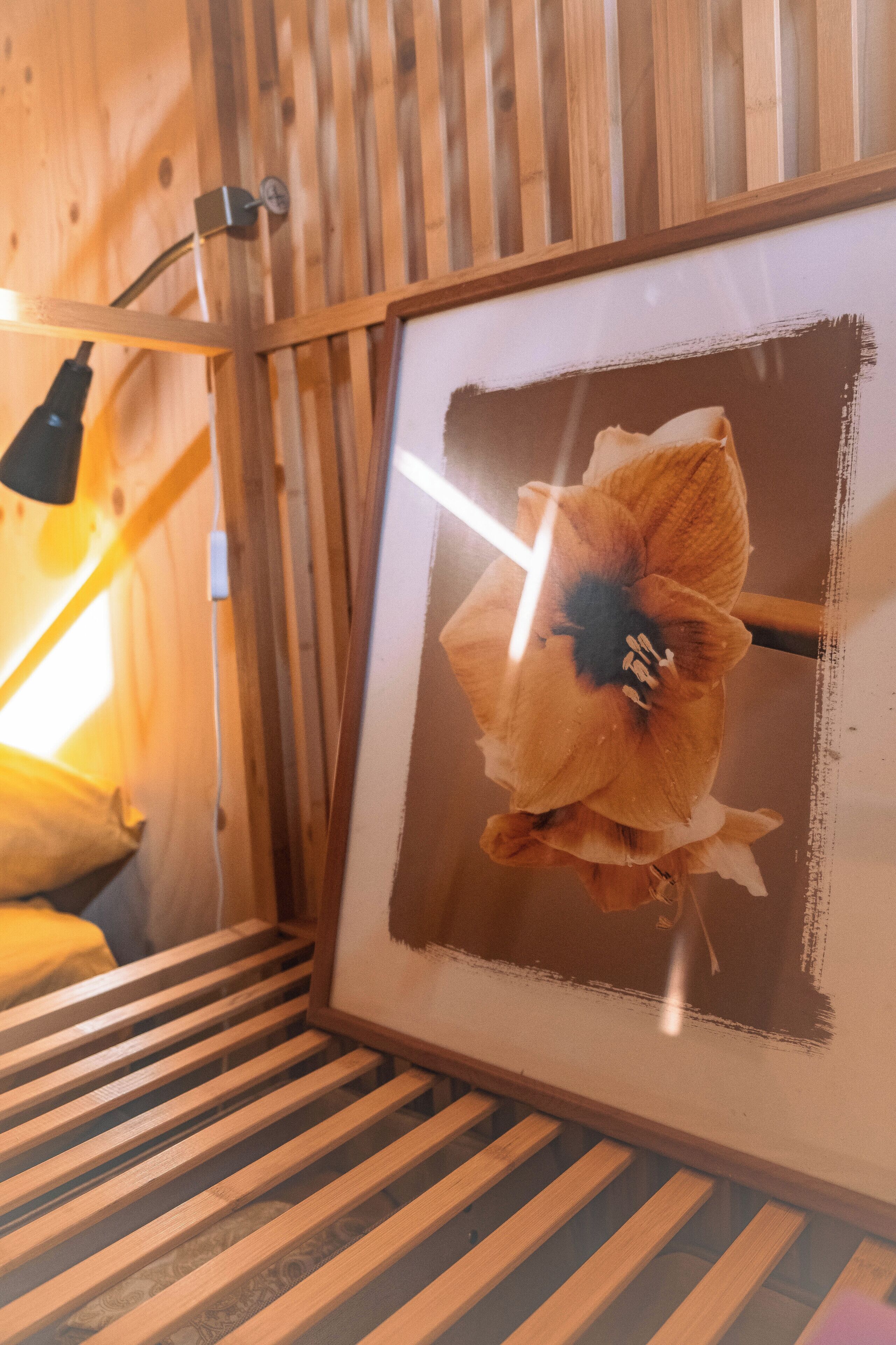 A framed artwork of a flower on a wooden surface, a lamp, and a bed with a pillow.